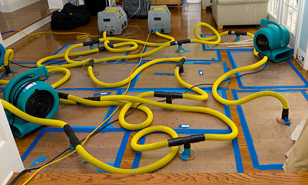 Professional Structural Drying And Dehumidification technician working in Camden Point, MO